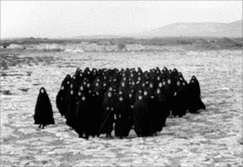 Shirin Neshat