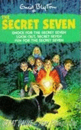 Shock for the Secret Seven