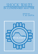 Shock Waves in Condensed Matter
