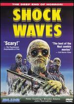 Shock Waves