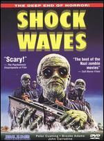 Shock Waves