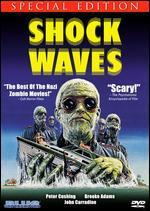 Shock Waves