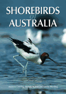 Shorebirds of Australia [op]