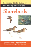 Shorebirds
