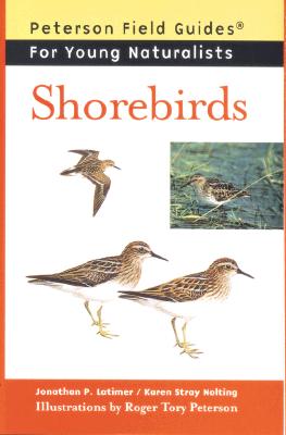 Shorebirds - Latimer, Jonathan P, and Nolting, Karen Stray, and Peterson, Virginia Marie (Foreword by)