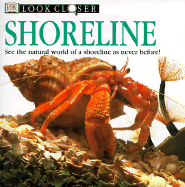 Shoreline