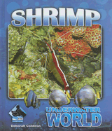 Shrimp - Coldiron, Deborah
