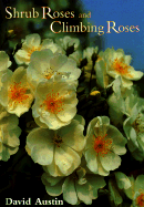 Shrub Roses and Climbing Roses