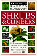 Shrubs & Climbers