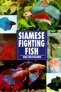 Siamese Fighting Fish