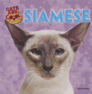 Siamese