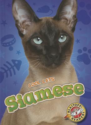 Siamese - Felix, Rebecca