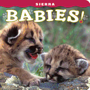 Sierra Babies!
