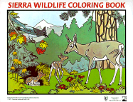 Sierra Wildlife Coloring Book - 