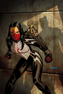 Silk, Volume 2: The Negative