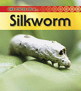 Silkworm