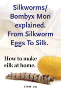 Silkworms Bombyx Mori Explained. from Silkworm Eggs to Silk. How to Make Silk at Home.