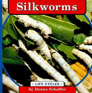 Silkworms
