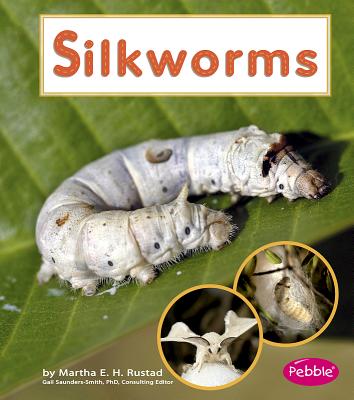 Silkworms - Rustad, Martha E H