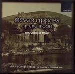 Silver Apples of the Moon