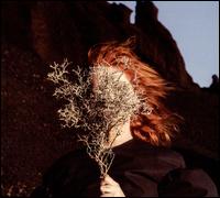 Silver Eye - Goldfrapp