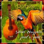 Silver Nuggets and Fool's Gold