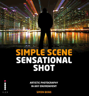 Simple Scene Sensational Shot: Artistic Photography in Any Environment