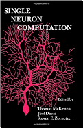 Single Neuron Computation