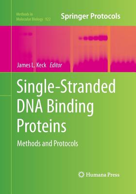 Single-Stranded DNA Binding Proteins: Methods and Protocols - Keck, James L (Editor)