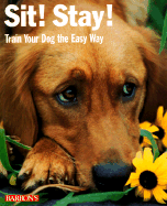 Sit! Stay! Train Your Dog the Easy Way!