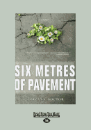 Six Metres of Pavement