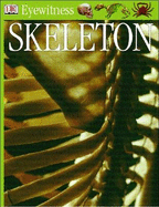 Skeleton