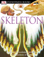 Skeleton