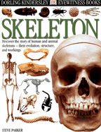 Skeleton