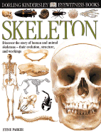 Skeleton