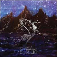 Skellig - David Gray