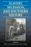 Slavery, Secession, and Southern History