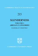 Slenderness: Volume 1, Abelian Categories