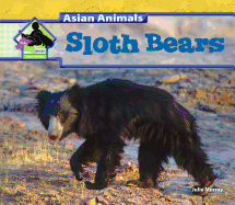 Sloth Bears