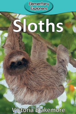 Sloths - Blakemore, Victoria