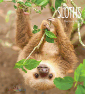 Sloths