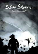 Slow Storm - Novgorodoff, Danica