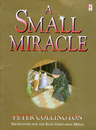 Small Miracle
