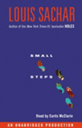 Small Steps