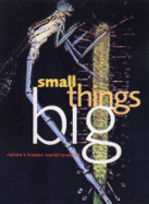 Small Things Big: Close-Up and Macro Photography