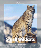 Small Wildcats