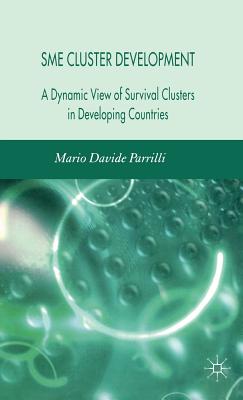 Sme Cluster Development: A Dynamic View of Survival Clusters in Developing Countries - Parrilli, M
