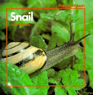 Snail