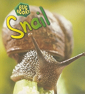 Snail