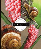 Snail